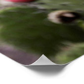 梨のサボテンのクローズアップ ポスター (角)