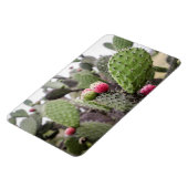 梨のサボテンのクローズアップ マグネット (左側)