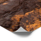 梨のサボテン（オプンティアSp.） ポスター (角)