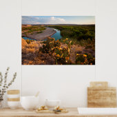 梨のサボテン（オプンティアSp.） ポスター (キッチン)