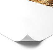 梨のサボテン ポスター (角)