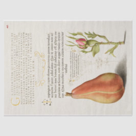 梨のフランスのバラ書 薄葉紙