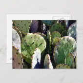 梨の実3 ポストカード (正面/裏面)