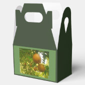 梨の木の収穫 フェイバーボックス (オープン)