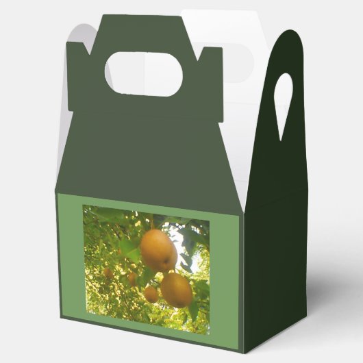 梨の木の収穫 フェイバーボックス (オープン)