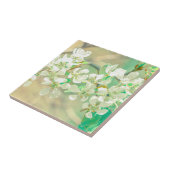 梨の木の春前向きビブ葉スの花咲き タイル (側面)