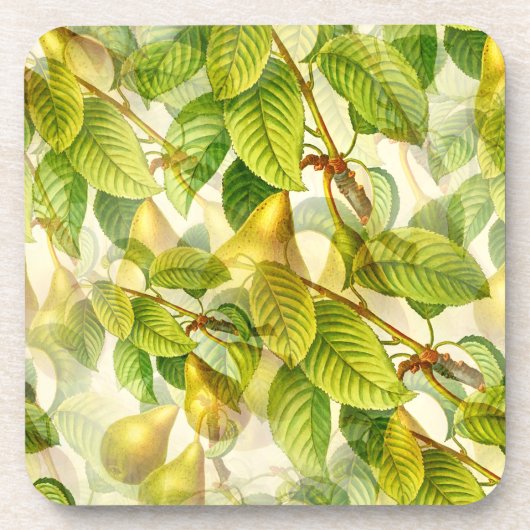 梨の木の枝と梨のパターン コースター (正面)