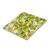 梨の木の枝と梨の模様  タイル (側面)