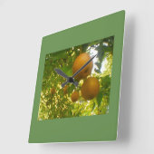 梨の木 スクエア壁時計 (傾斜)