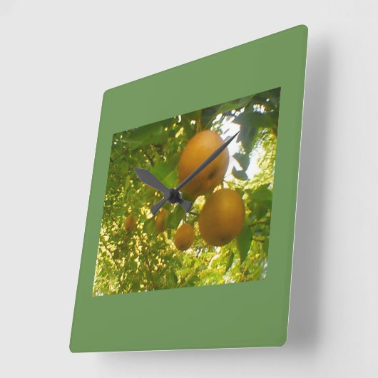 梨の木 スクエア壁時計 (傾斜)