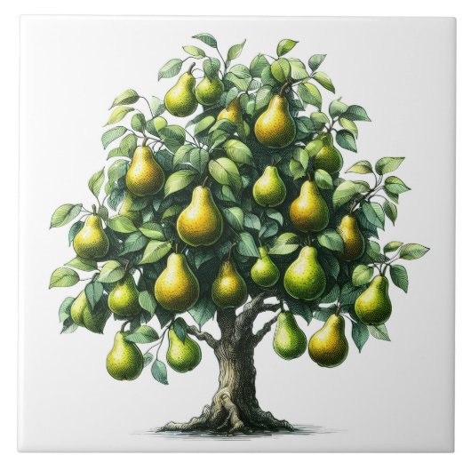 梨の木 タイル (正面)