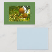 梨の木 名刺 (正面/裏面)