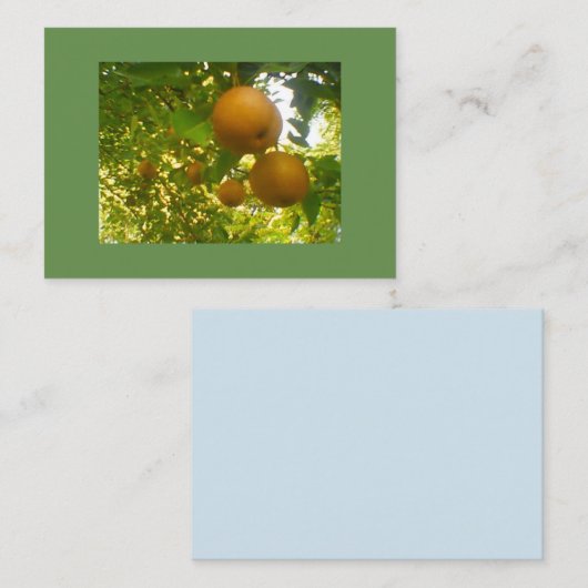 梨の木 名刺 (正面/裏面)