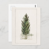 梨の木(Pyrus communis)水の色絵画の ポストカード (正面/裏面)