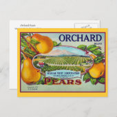 梨の果実ヴィンテージクレートのラベル ポストカード (正面/裏面)