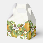 梨の果物植物 フェイバーボックス (裏面サイド)