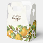 梨の果物植物 フェイバーボックス (オープン)