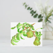 梨の水色サマーフルーツ絵画ズ ポストカード (スタンド正面)