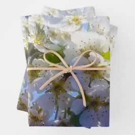 梨の花の枝 ラッピングペーパーシート