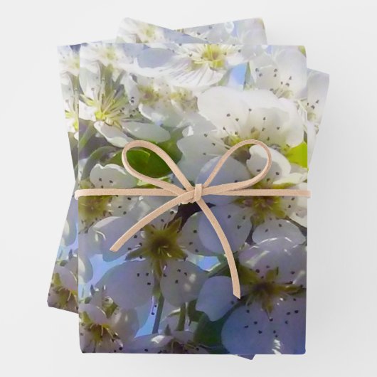 梨の花の枝 ラッピングペーパーシート (インサイチュ)