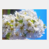 梨の花の枝 ラッピングペーパーシート (正面)