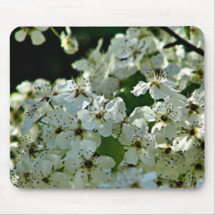 梨の花の開花 マウスパッド