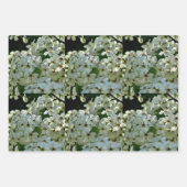 梨の花の開花 ラッピングペーパーシート (正面3)