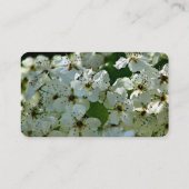 梨の花の開花 名刺 (裏面)