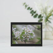 梨の花はがき ポストカード (スタンド正面)