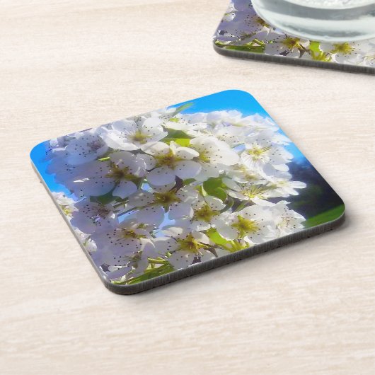 梨の花 コースター (左側)