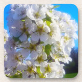 梨の花 コースター (正面)