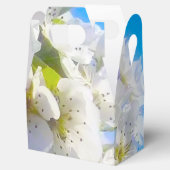 梨の花 フェイバーボックス (オープン)