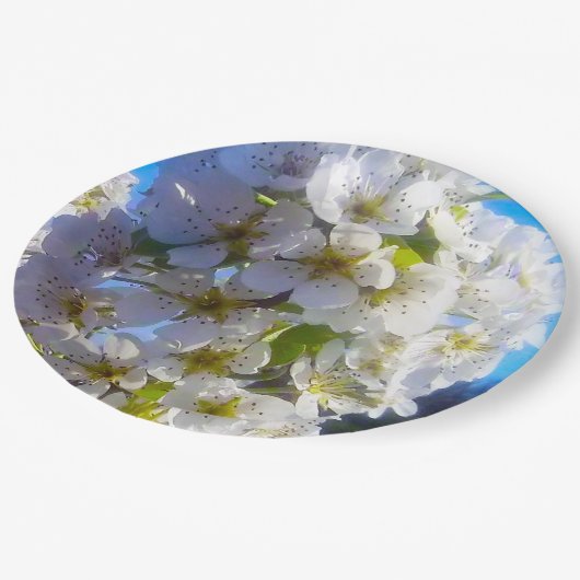 梨の花 ペーパープレート (アングル)