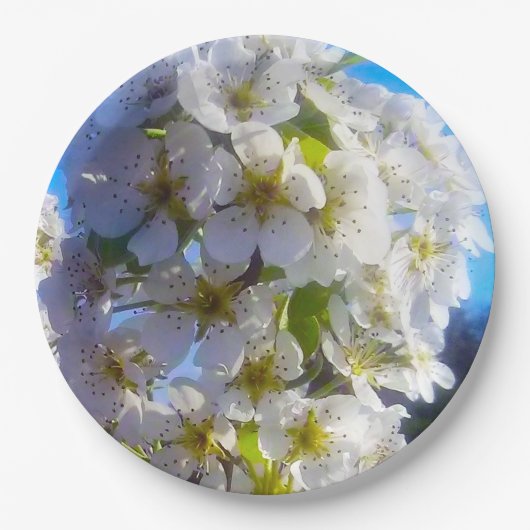 梨の花 ペーパープレート (正面)
