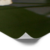 梨の花 ポスター (角)