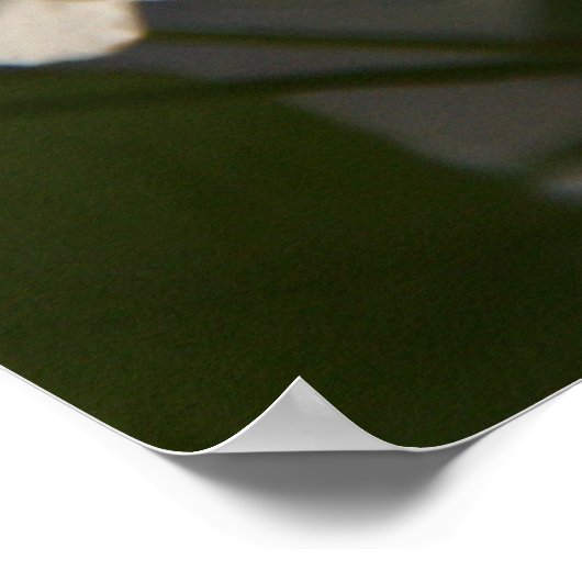 梨の花 ポスター (角)