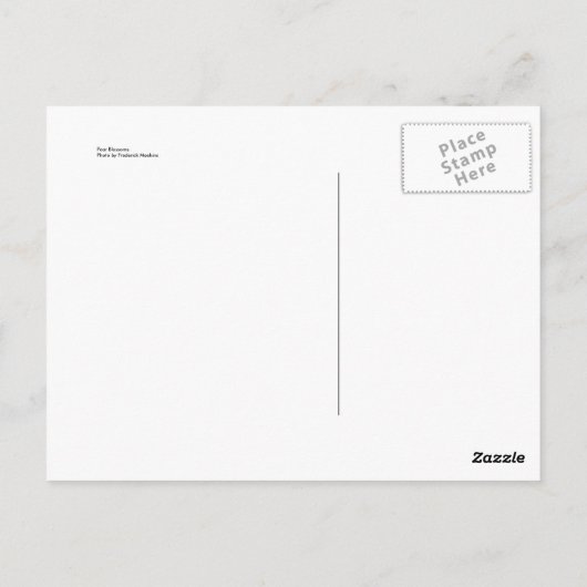 梨の花 ポストカード (裏面)