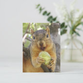 梨はがき付きリス ポストカード (スタンド正面)