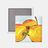 梨は黄色い水色の果実をつける マグネット (正面/裏面)