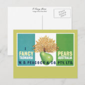 梨をファンシー付ける ポストカード (正面/裏面)