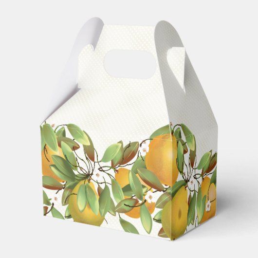 梨フルーツ植物学 フェイバーボックス (裏面サイド)