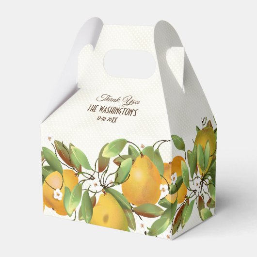 梨フルーツ植物学 フェイバーボックス (正面サイド)