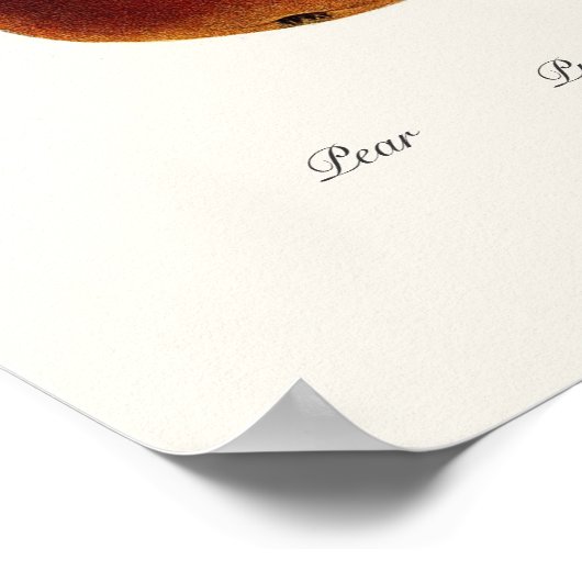 梨 ポスター (角)