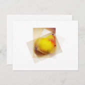 梨 ポストカード (正面/裏面)