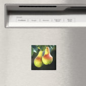 梨 マグネット (インサイチュ (食洗機))