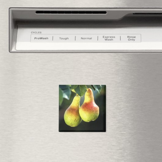 梨 マグネット (インサイチュ (食洗機))