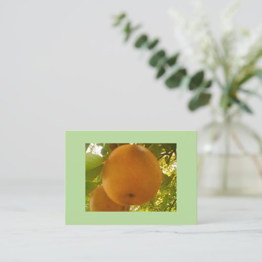 梨 名刺 (スタンド正面)