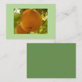 梨 名刺 (正面/裏面)