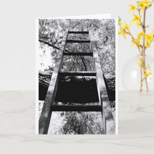 梯子 カード (黄色い花)