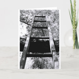梯子 カード